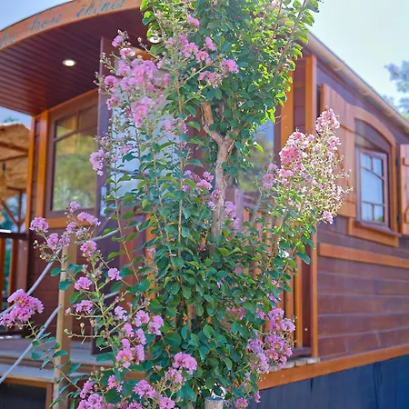 Roulotte Au Coeur Des Vignes,