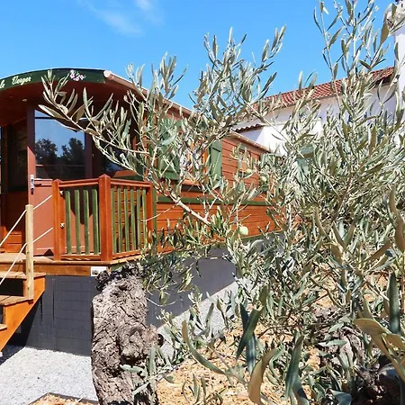 Roulotte Au Coeur Des Vignes, Campsite Hyeres